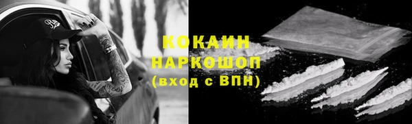 шишки Алексеевка
