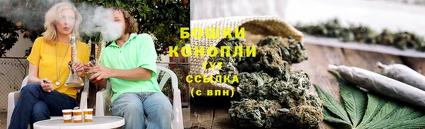 шишки Алексеевка