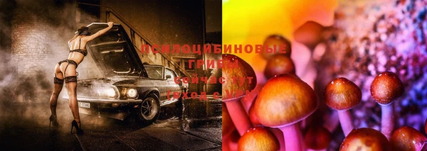 таблы Алексин